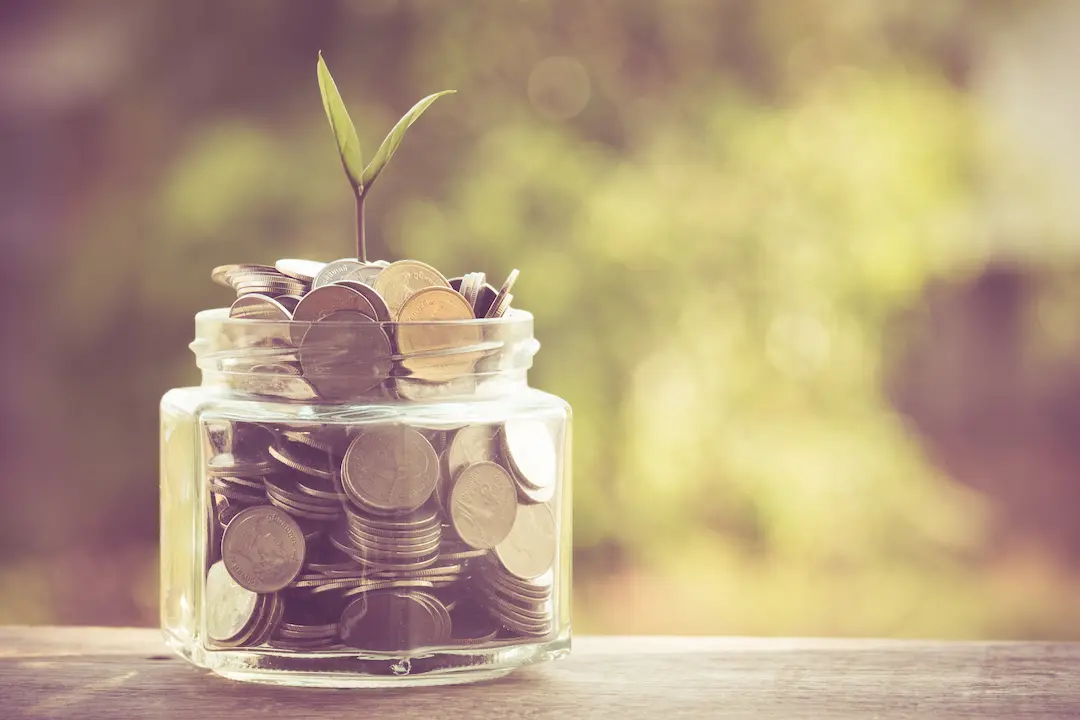 Family Office vs Wealth Management What's Right for US High-Net-Worth Individuals & Expats Success in A Pot