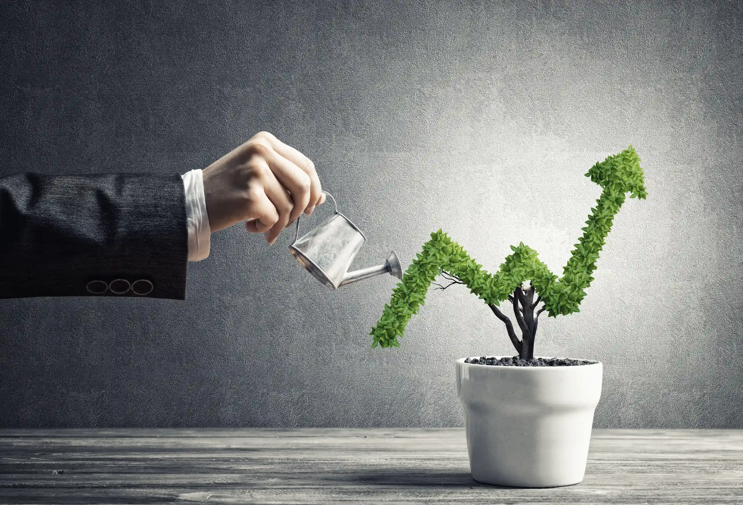PCC Investments page